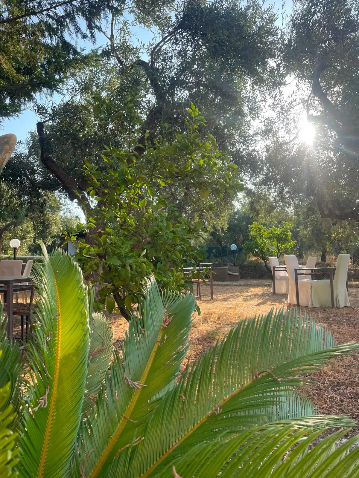Colazione in giardino