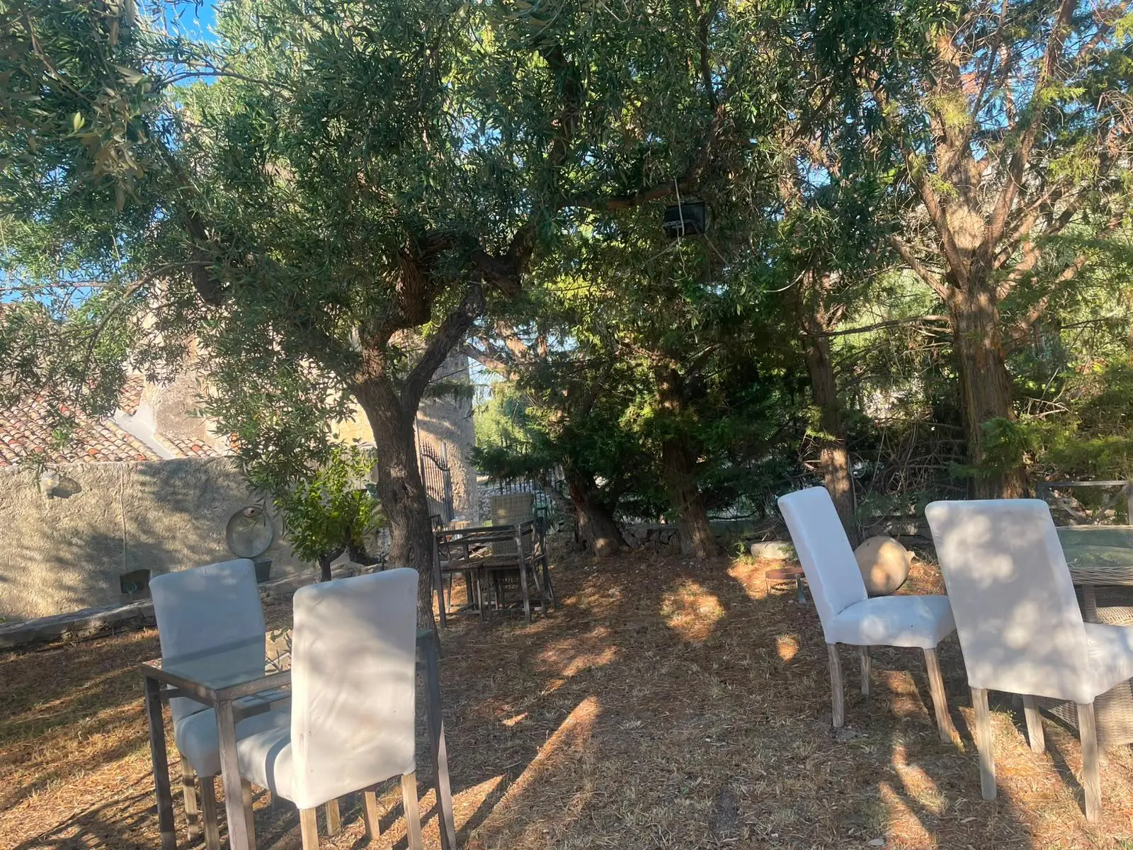 Colazione in giardino