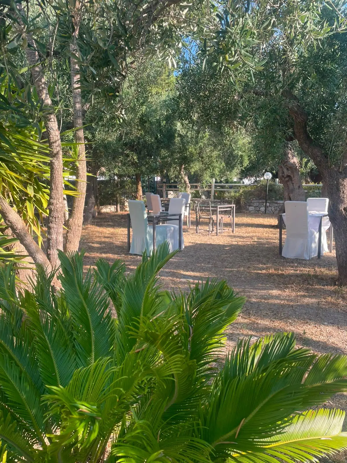 Colazione in giardino